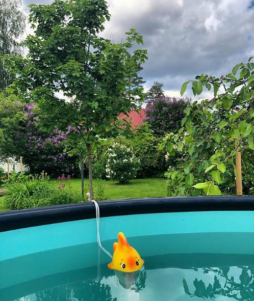 @tehrilotvonen | Kotijuhannuksen parhautta; aamulla pulahdus kylmään mereen, josta lillumaan lämpimään paljuun.