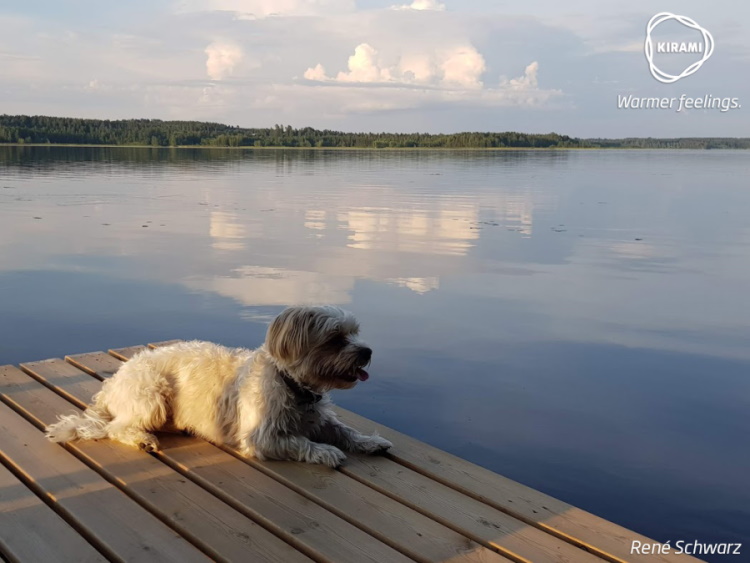 Riitta Okkonen | Yksityiselämässä palaset olivat loksahtaneet Riitalla ja hänen miehellään Jukalla jo aiemmin kohdalleen | Kirami