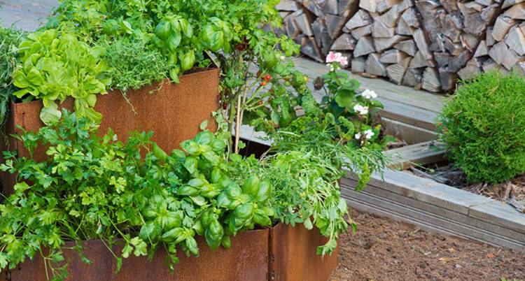 Ruoste on uusi musta | Outstanding by Kirami