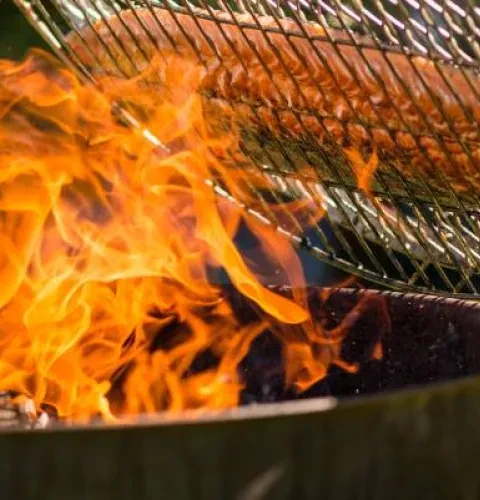 Roasty-Boss kestävä monikäyttöinen grilli | Kirami