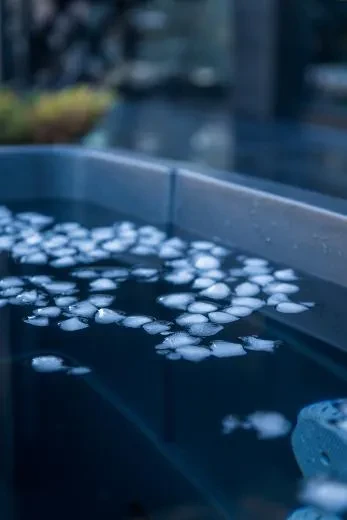 Comfort BlackIce S - BlackLeather, harmaa