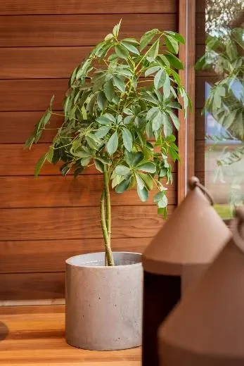 Kirami FinVision® -lounge M Misty - kaunis kuin kukka!