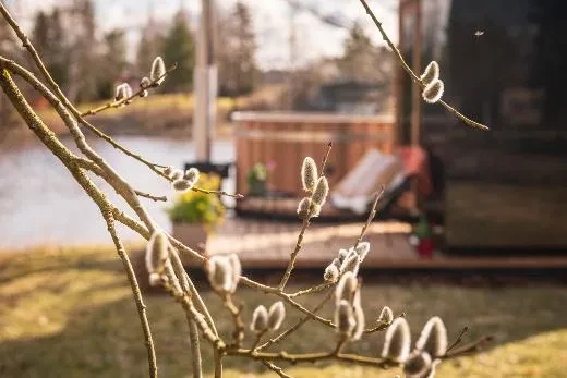 Kirami FinVision® -sauna M Zero (GlowBlack and CoralWhite)_Solarsystem model